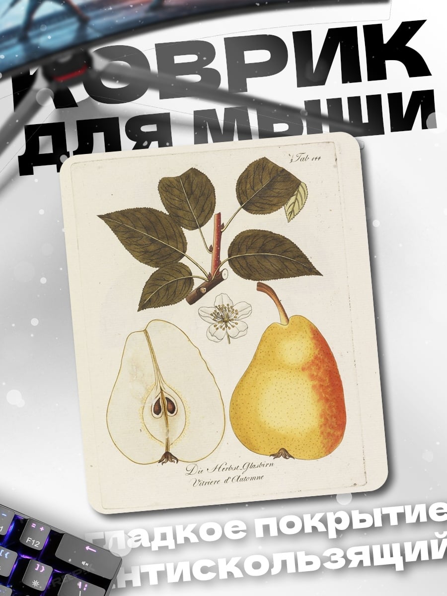 Коврик Груша сорт конференц