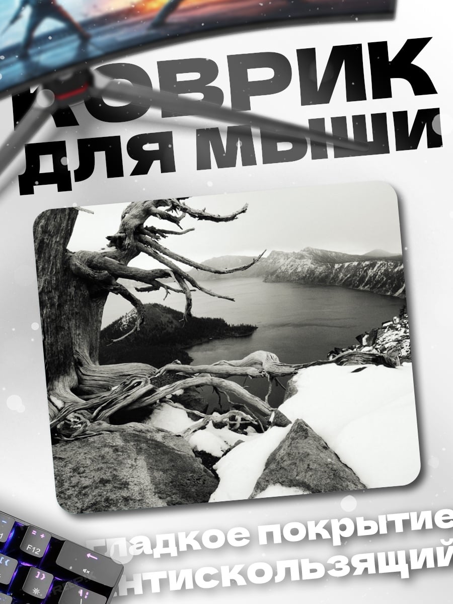 Коврик Сухое дерево у озера