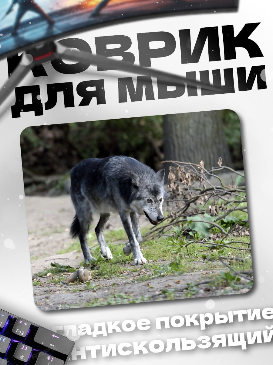 Коврик Серый волк в лесу