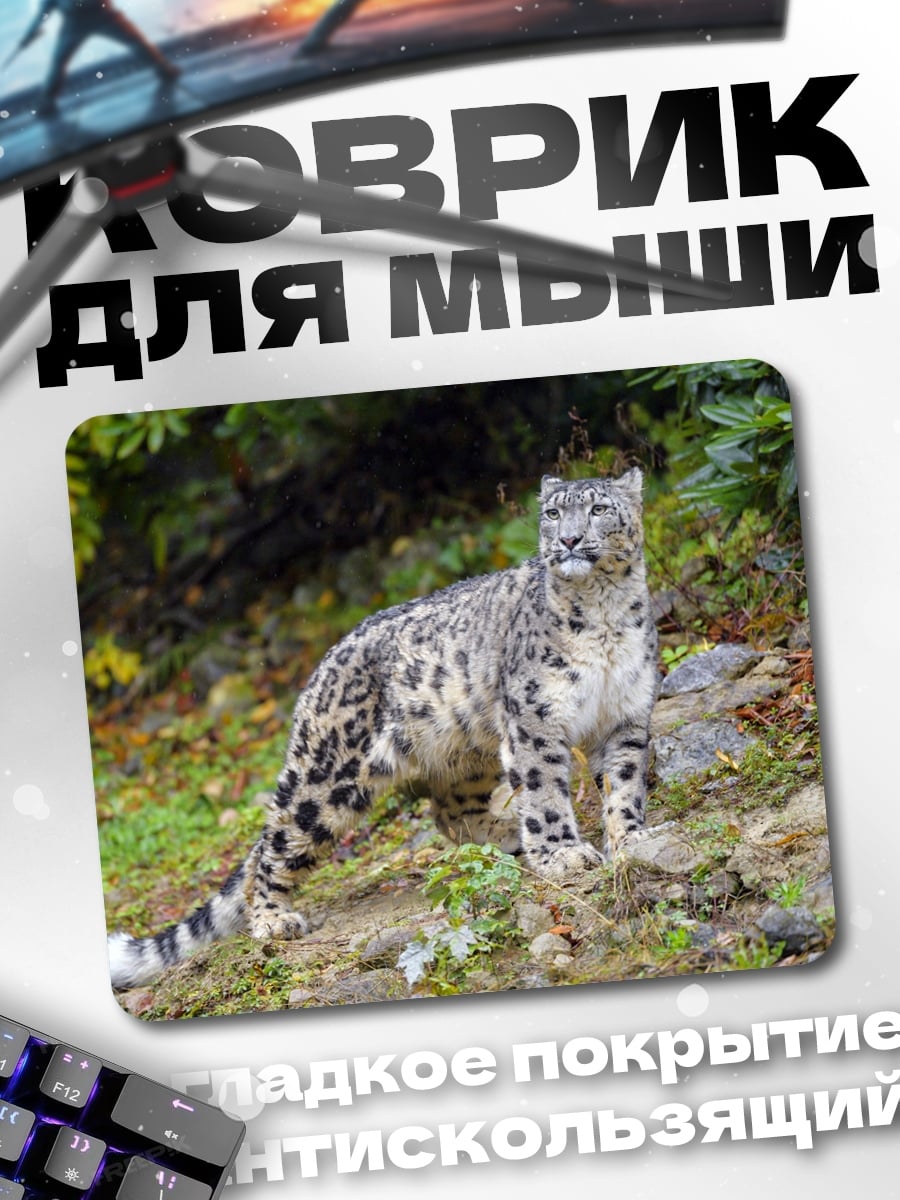 Коврик Снежный барс