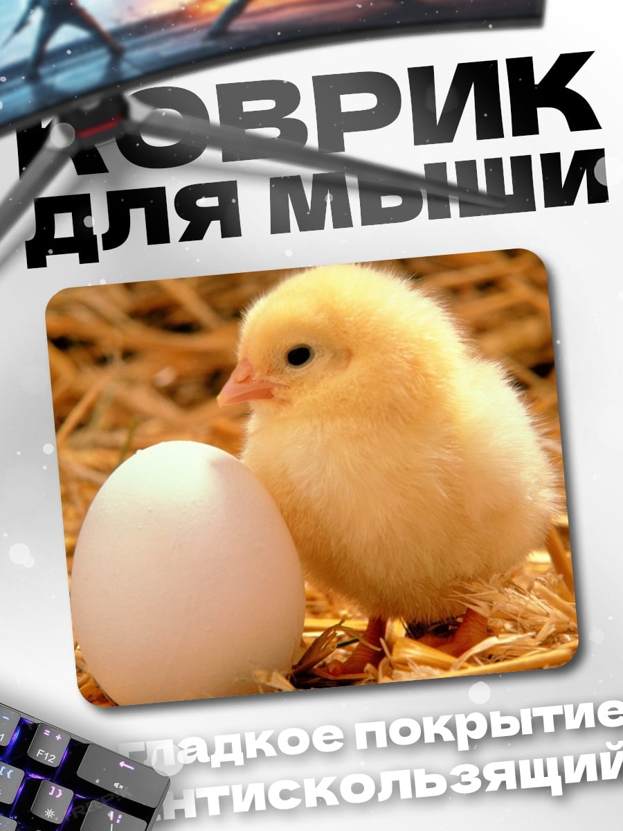 Коврик Цыпленок и яйцо