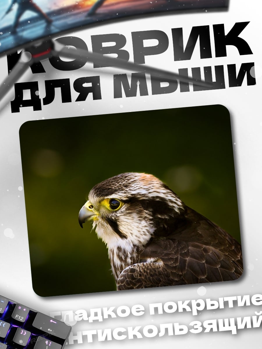 Коврик Сокол крупным планом