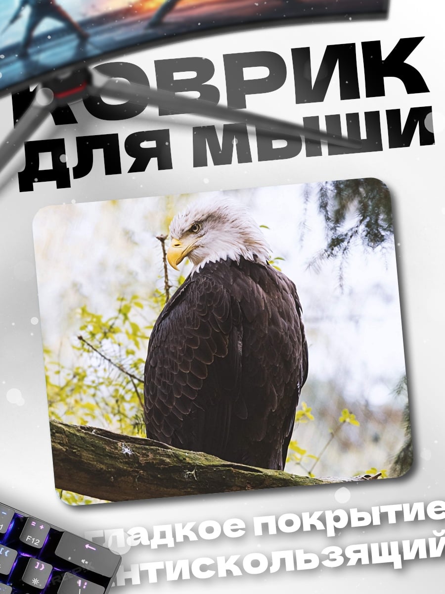 Коврик Орёл на ветке