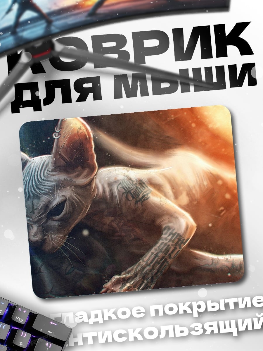 Коврик Сфинкс в космосе