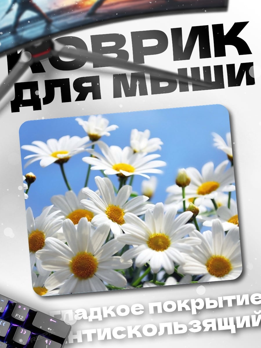 Коврик поле ромашек