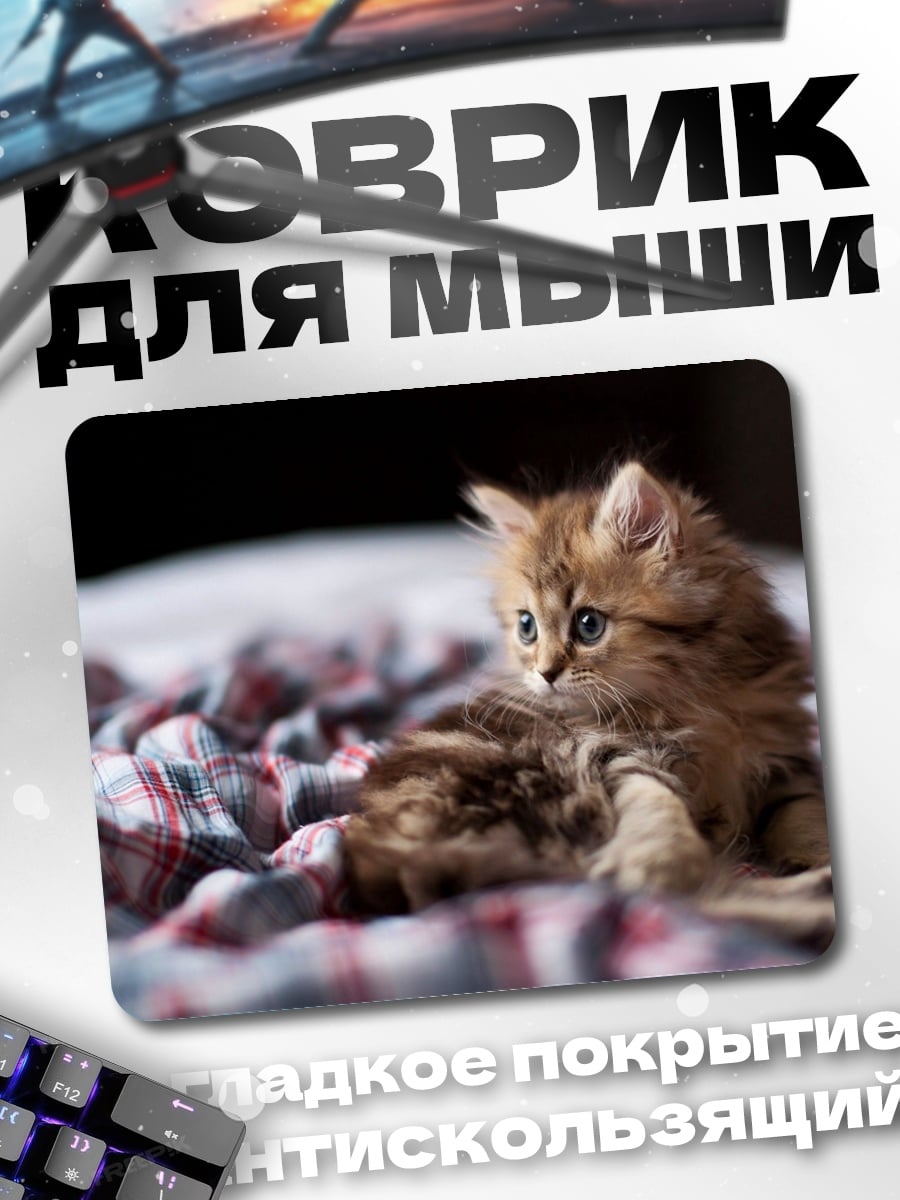Коврик Пушистый котенок
