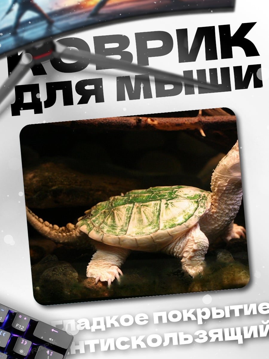Коврик каймановая черепаха