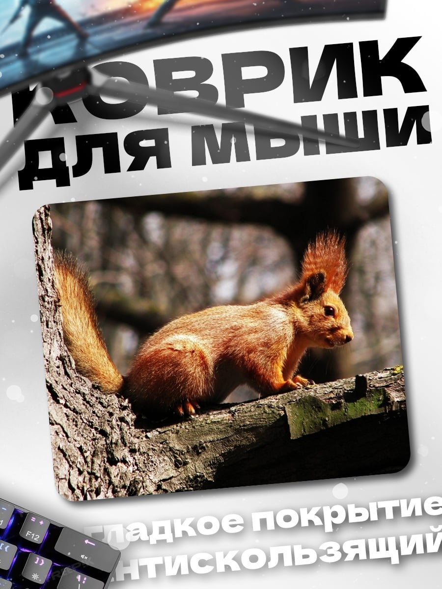 Коврик Рыжая белка