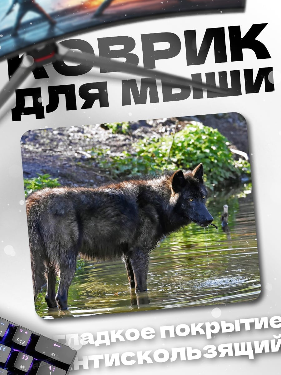Коврик Волк у воды