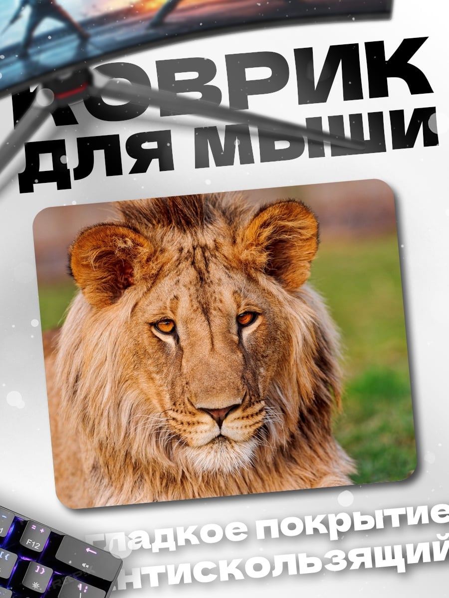 Коврик Портрет льва