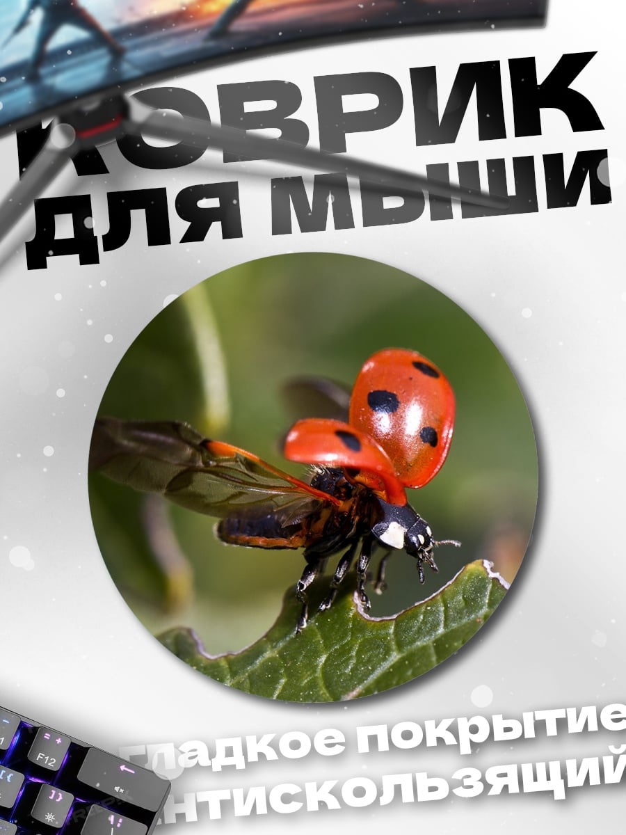 Коврик круглый божья коровка летит