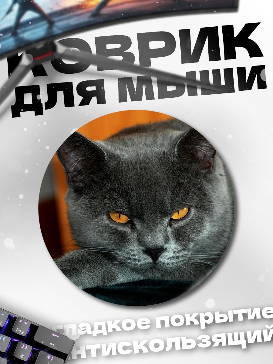 Коврик круглый серый кот