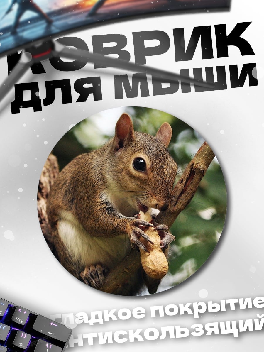 Коврик круглый Белка с орехом