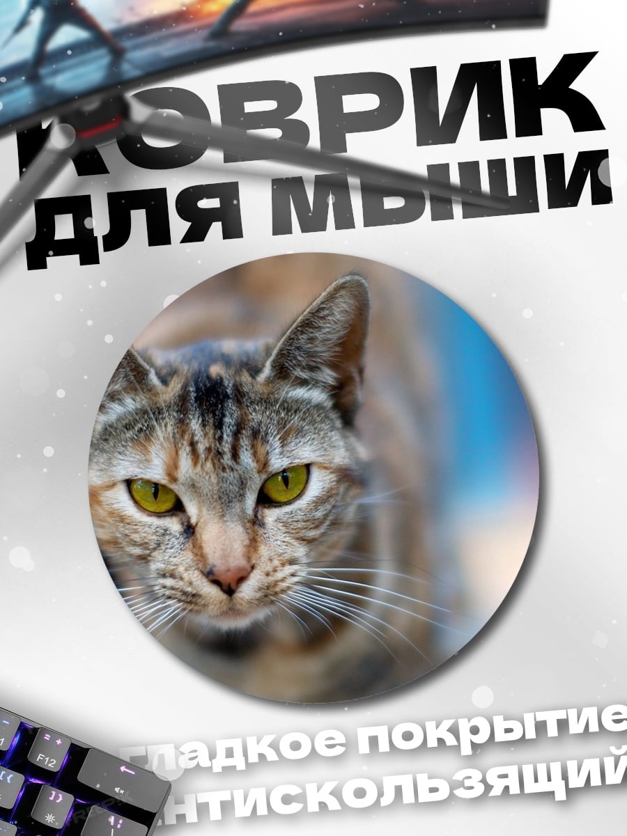 Коврик круглый Дракон и лиса