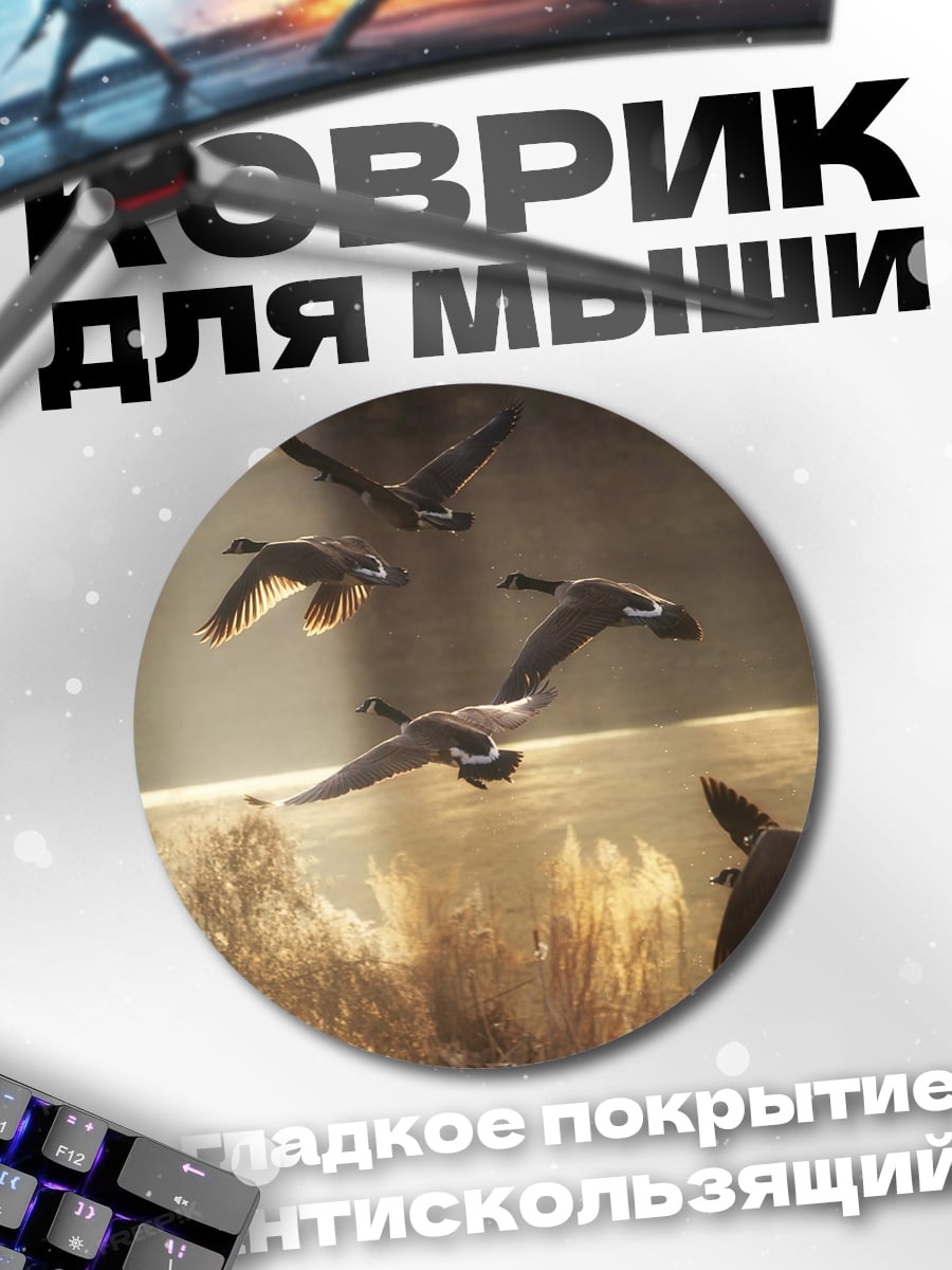 Коврик круглый Стая гусей