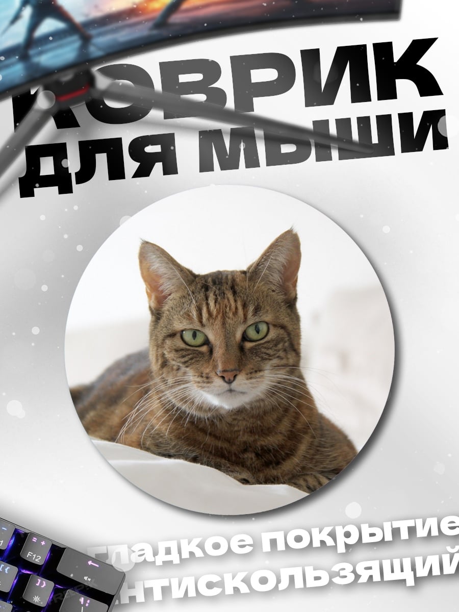 Коврик круглый Лежащий кот