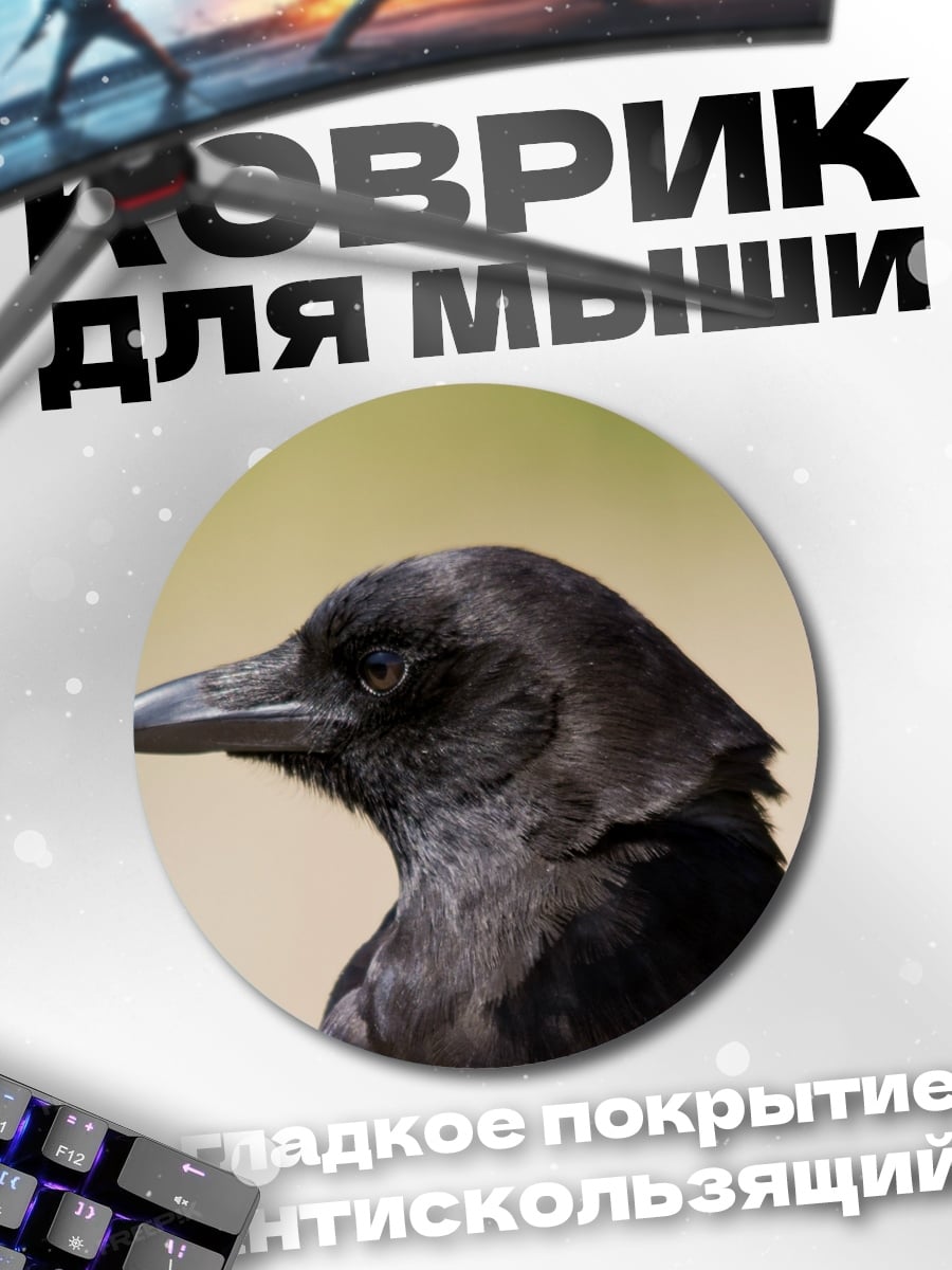 Коврик круглый Черный ворон