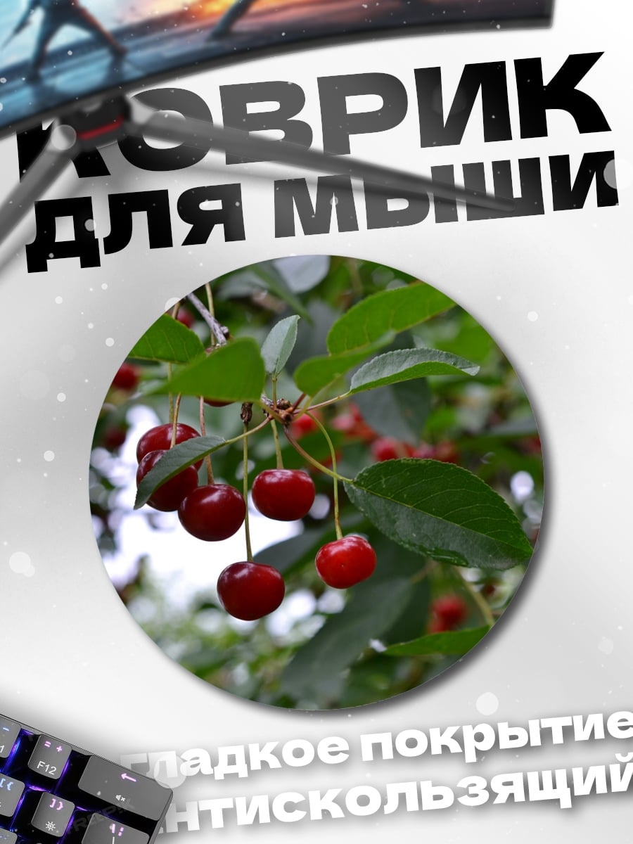 Коврик круглый ветка вишни с ягодами
