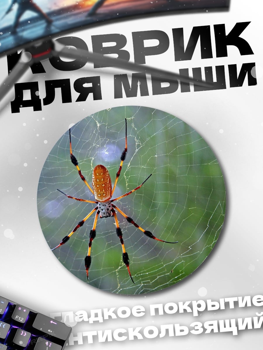 Коврик круглый Паук на паутине