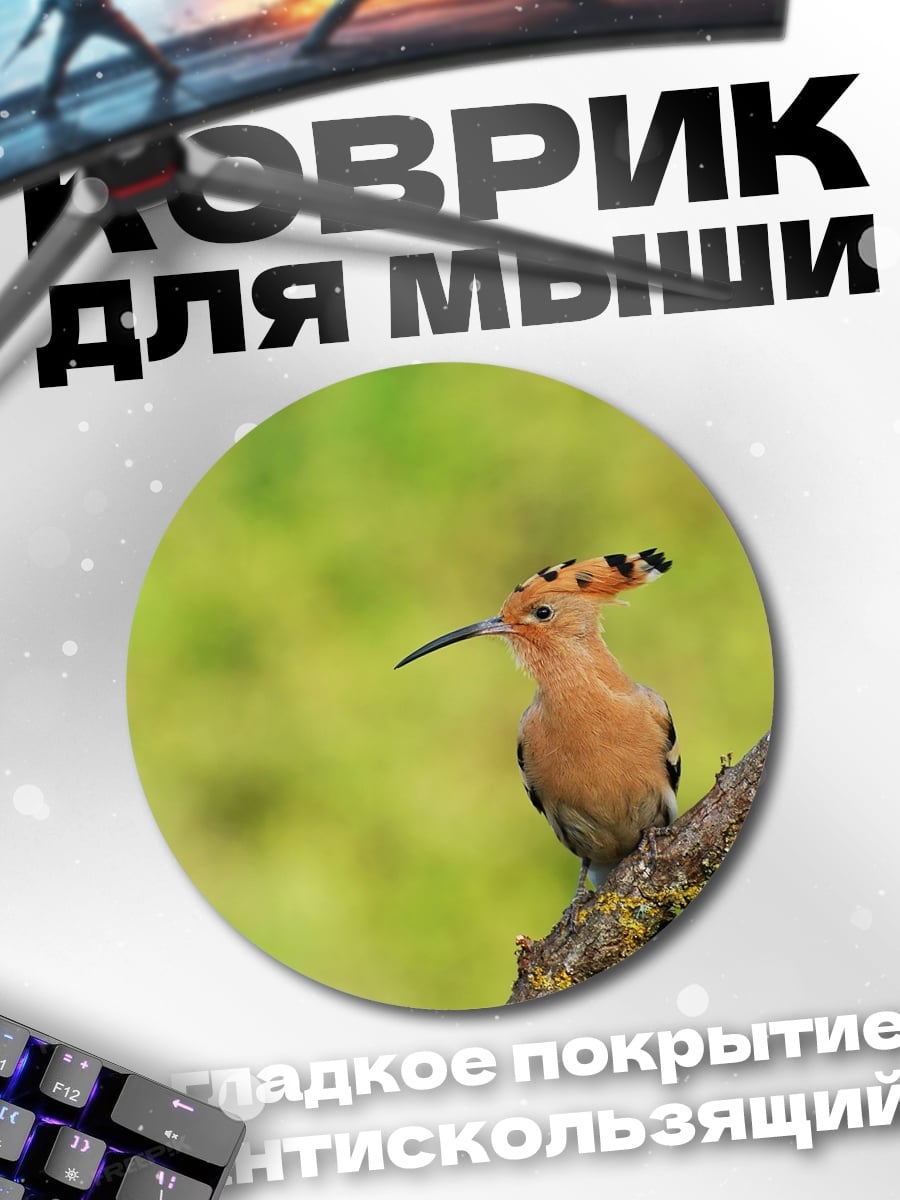 Коврик круглый Птица удод