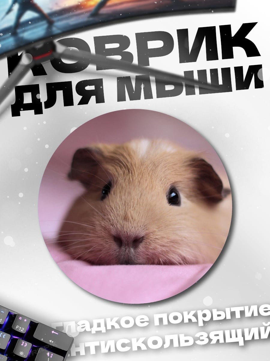 Коврик круглый Морская свинка