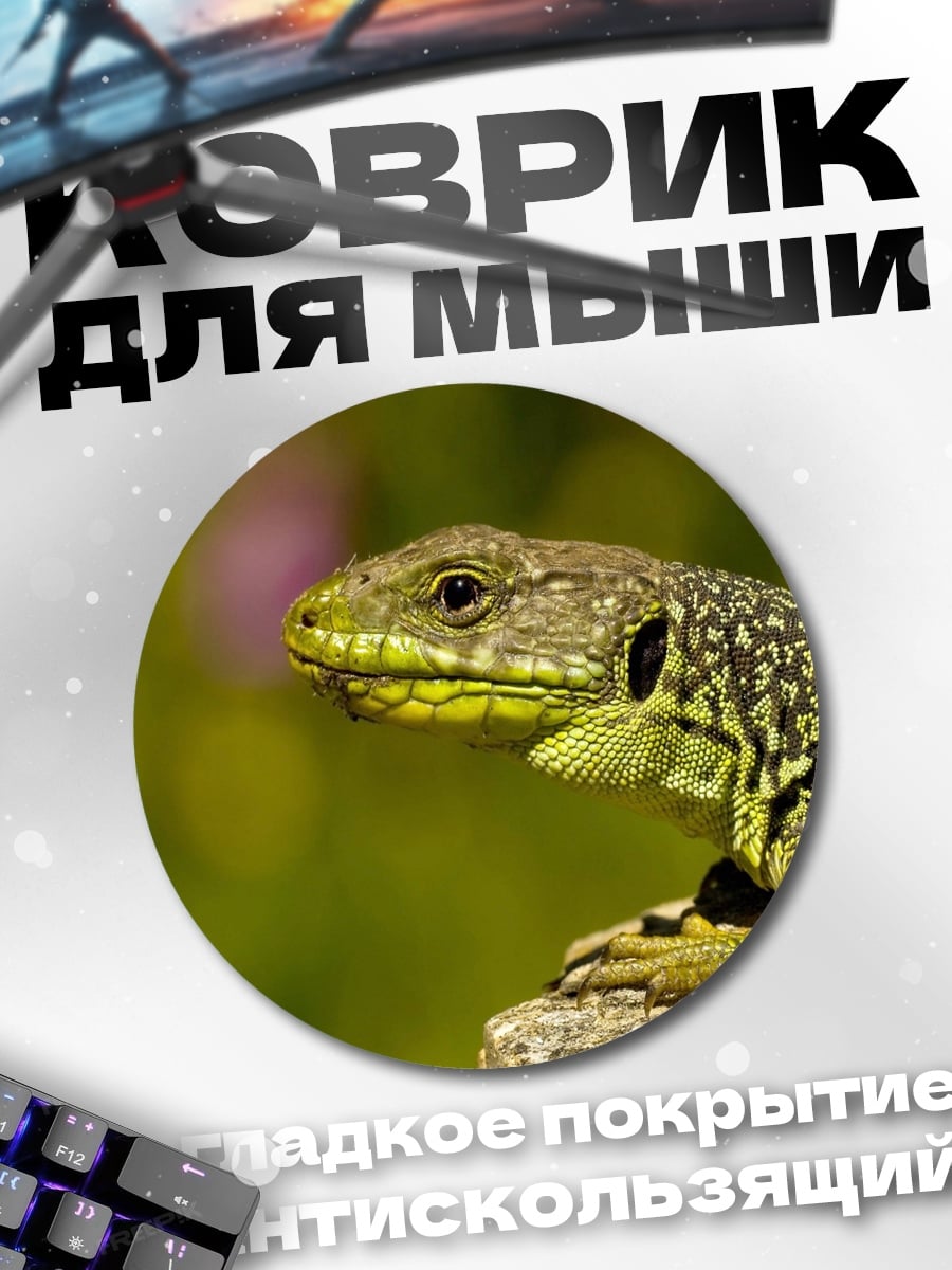 Коврик круглый Зеленая ящерица крупным планом