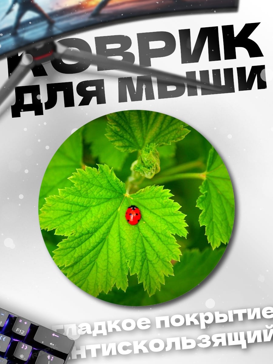 Коврик круглый Божья коровка на листе