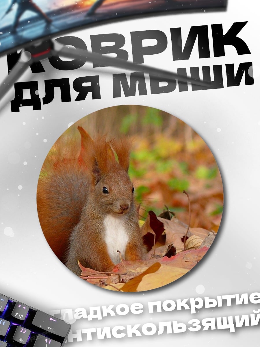 Коврик круглый рыжая белка осенью