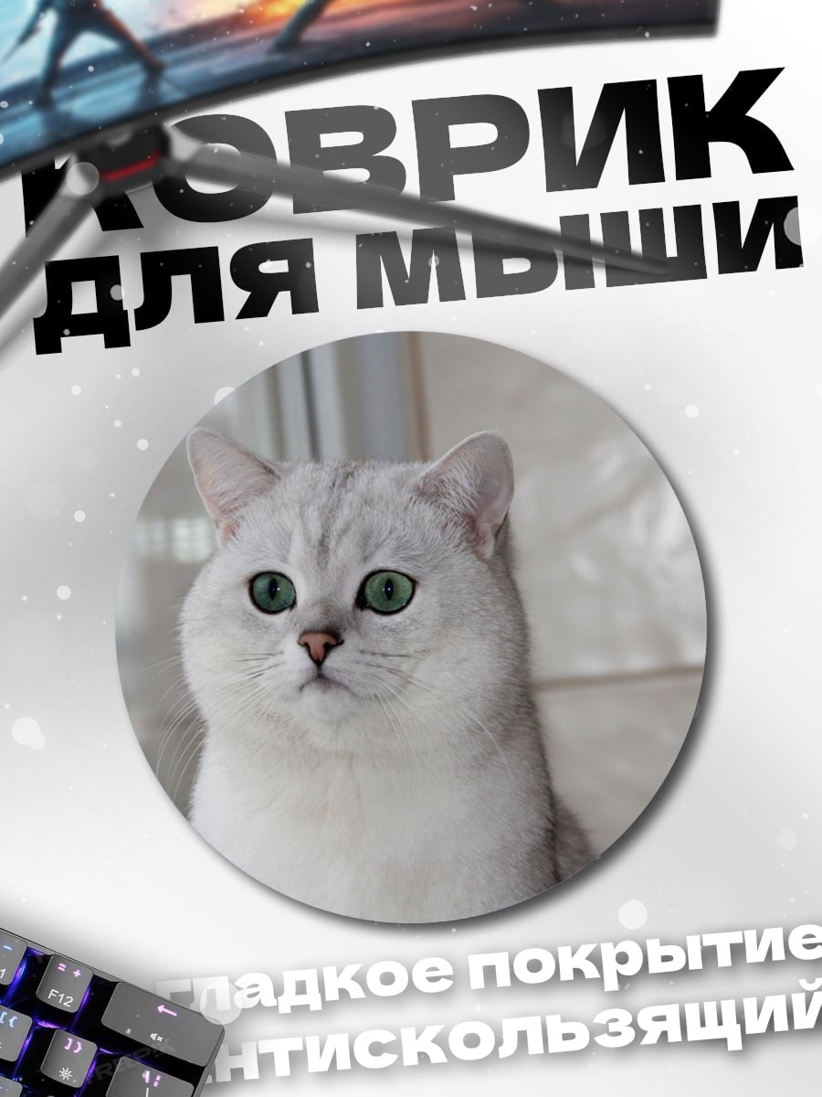 Коврик круглый Британский короткошерстный кот