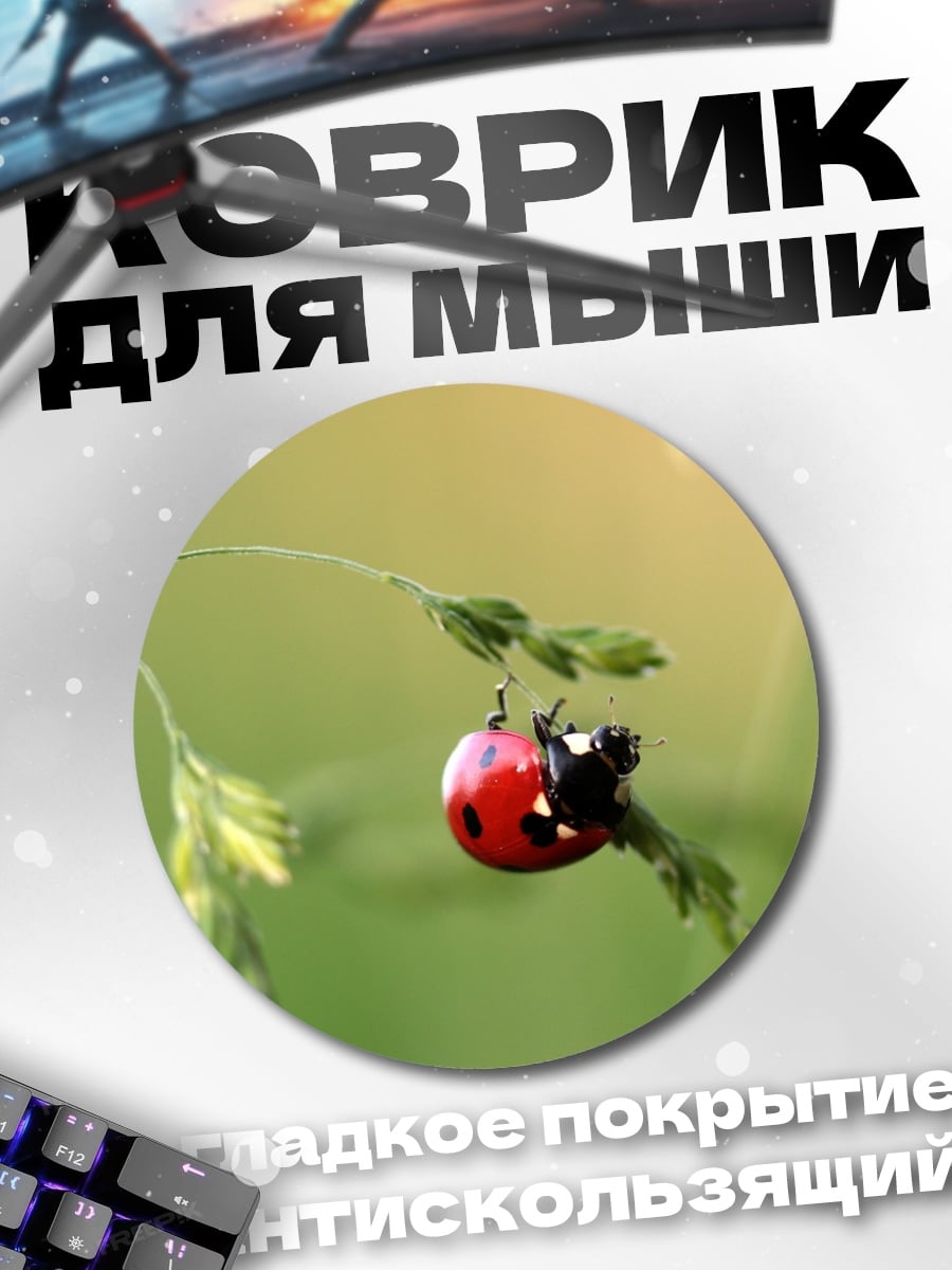 Коврик круглый божья коровка