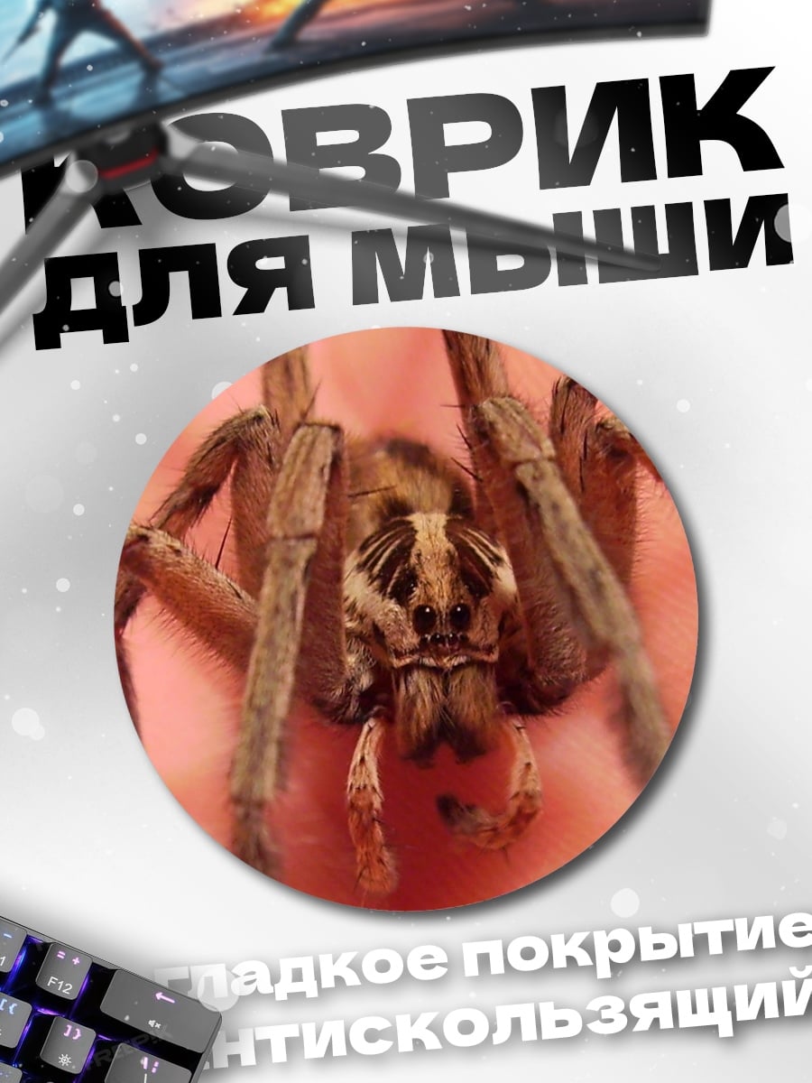 Коврик круглый крупный план паука