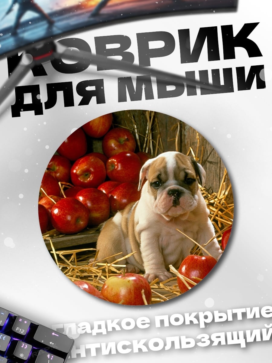 Коврик круглый Щенок бульдога с яблоками
