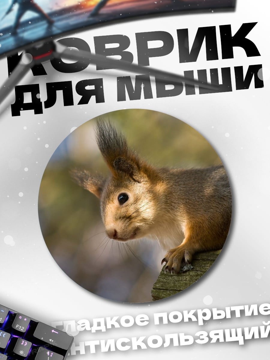Коврик круглый Рыжая белка крупным планом