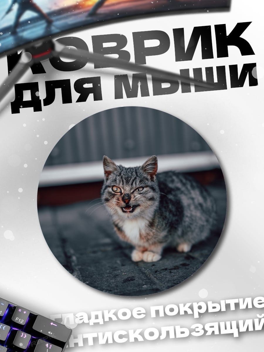 Коврик круглый Сердитый кот