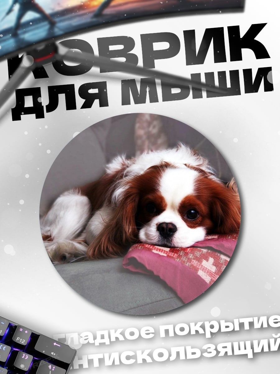 Коврик круглый Лежащий кавалер кинг чарльз