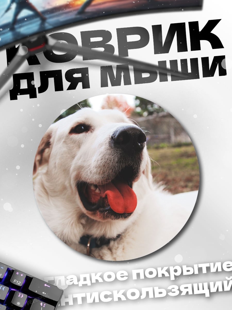 Коврик круглый Белый пес