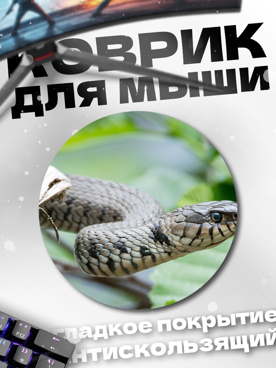 Коврик круглый Змея на ветке