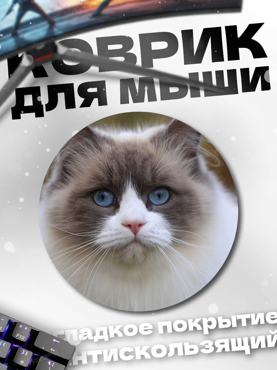 Коврик круглый кот породы рэгдолл