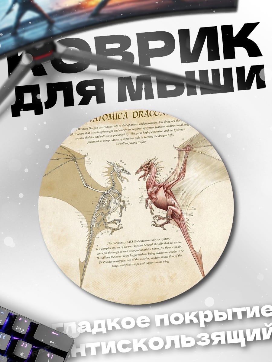 Коврик круглый анатомия дракона