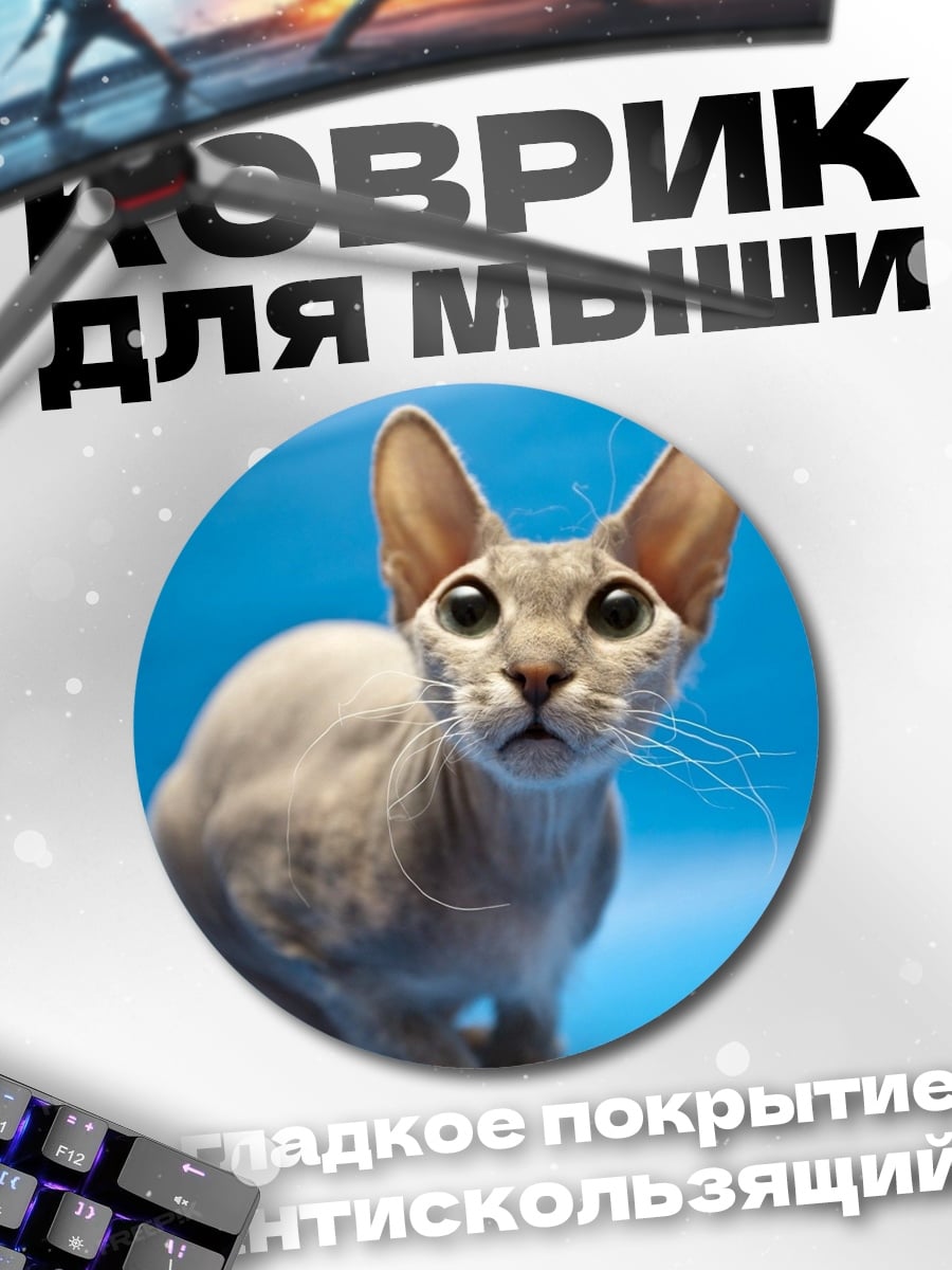 Коврик круглый лысый кот с большими ушами