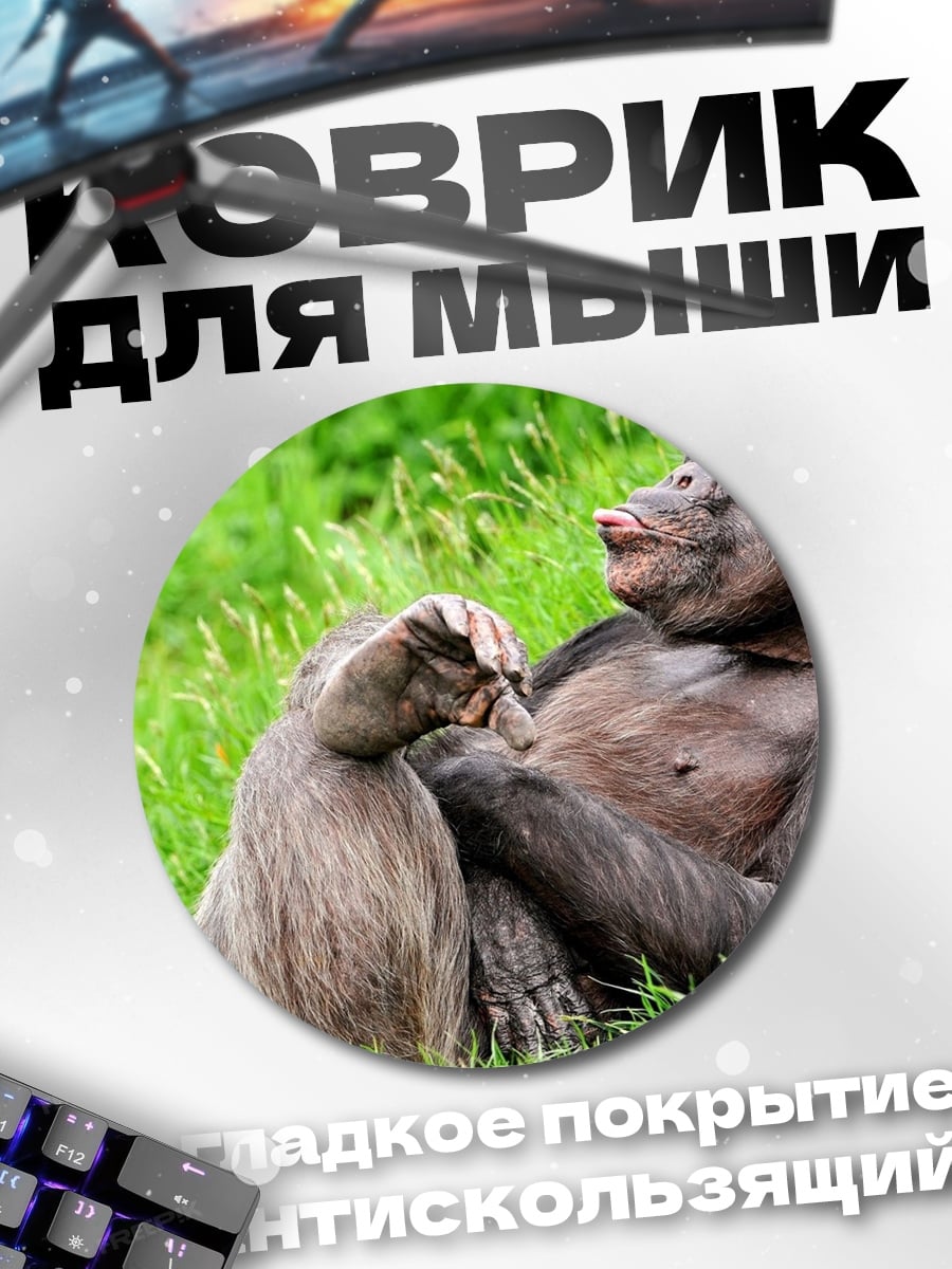 Коврик круглый Шимпанзе и бабуин