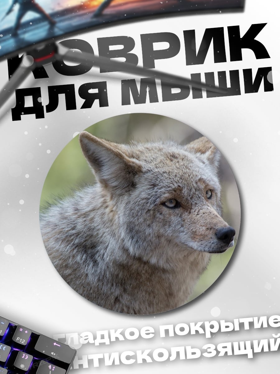 Коврик круглый Крупный план койота