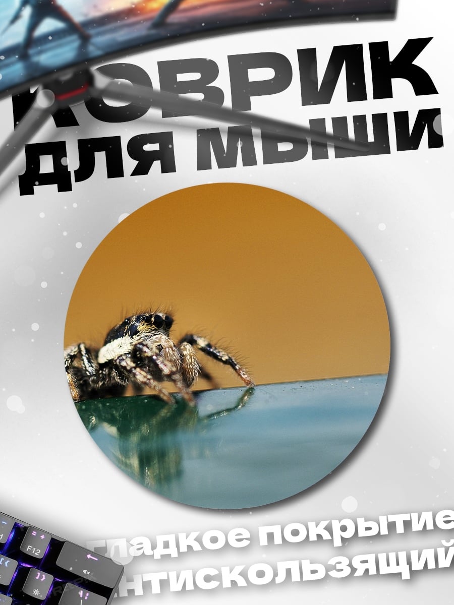 Коврик круглый Паук на воде