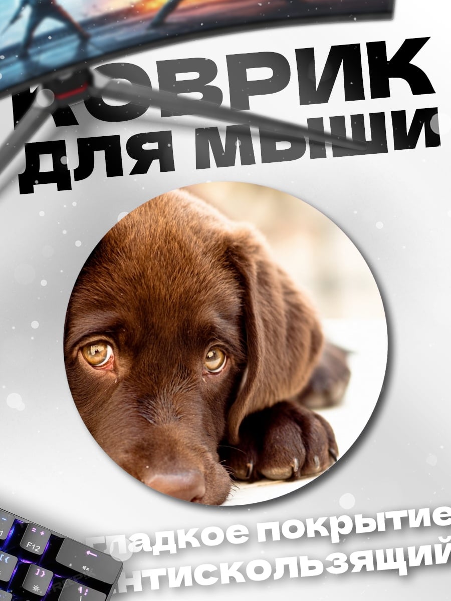 Коврик круглый Шоколадный лабрадор