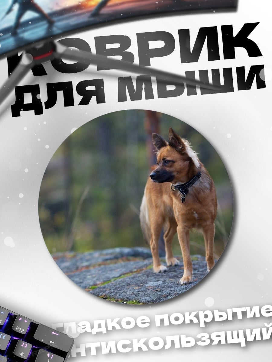 Коврик круглый Собака в лесу