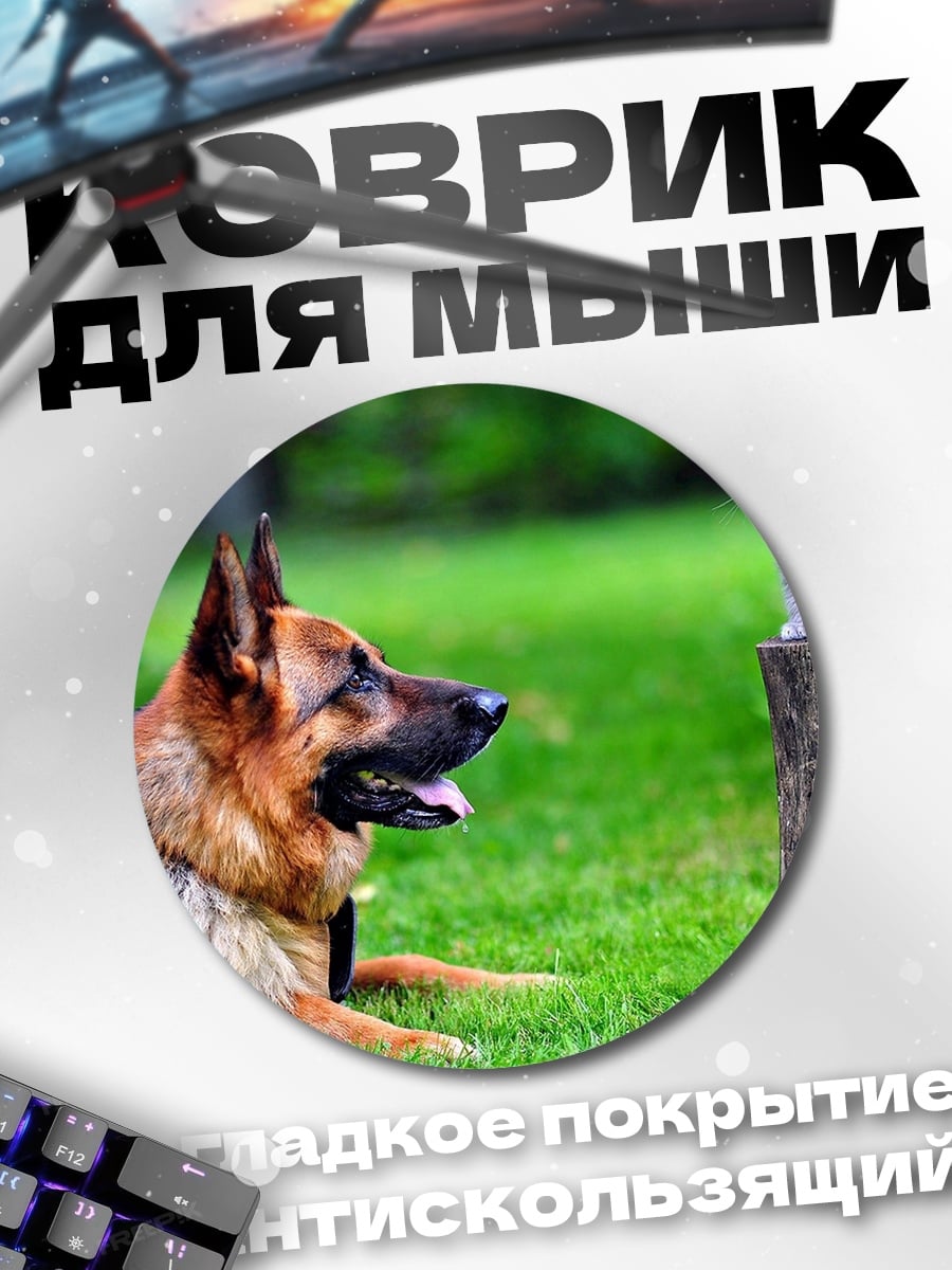 Коврик круглый собака и кот