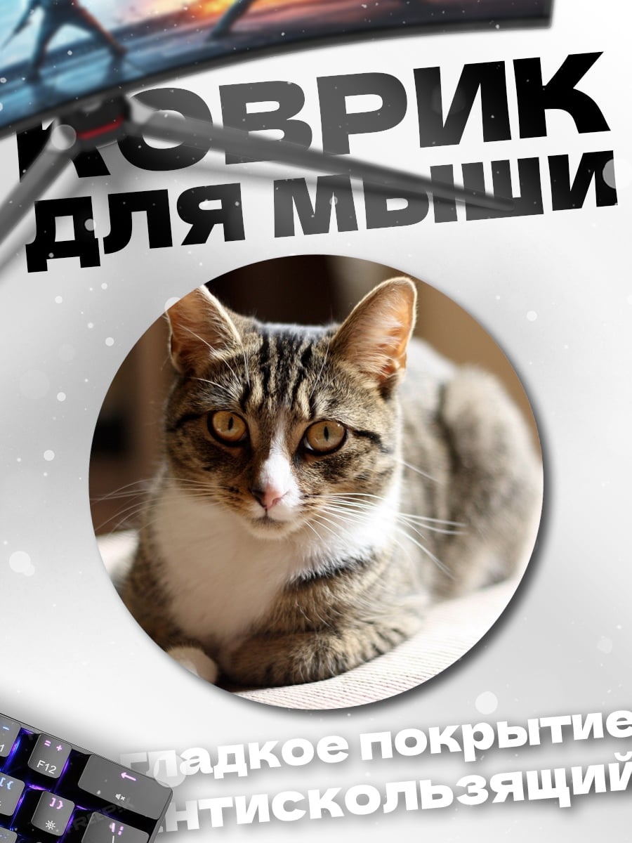 Коврик круглый Полосатый кот лежит