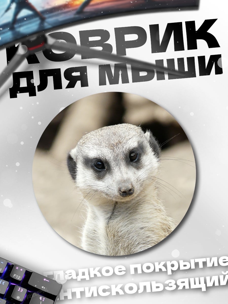 Коврик круглый Любопытный сурикат