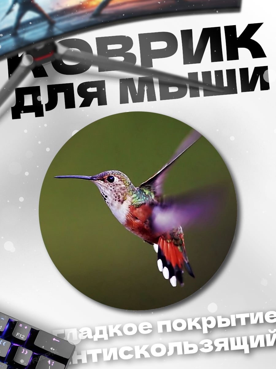 Коврик круглый Колибри в полете