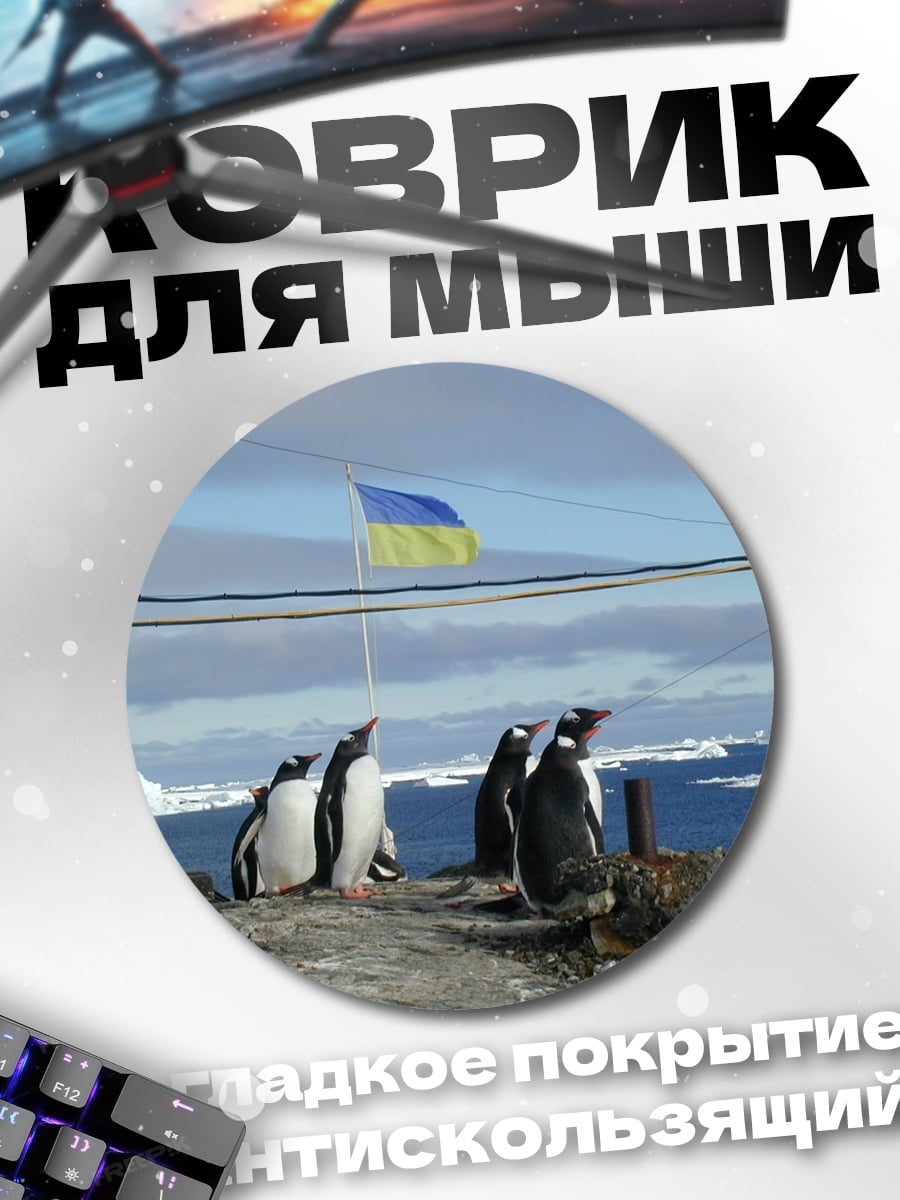 Коврик круглый Пингвины и флаг